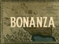 Bonanza | The adventures of Ben Cartwright and his sons. 