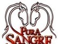 Pura Sangre (Novela) | Pura Sangre (Novela) de Colombia en español y las 24 horas del dia...