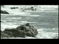 RCTV | Government access TV. Sometimes online.
