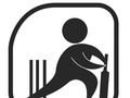 Star Cricket Live | ICC World Cup 2011 Live